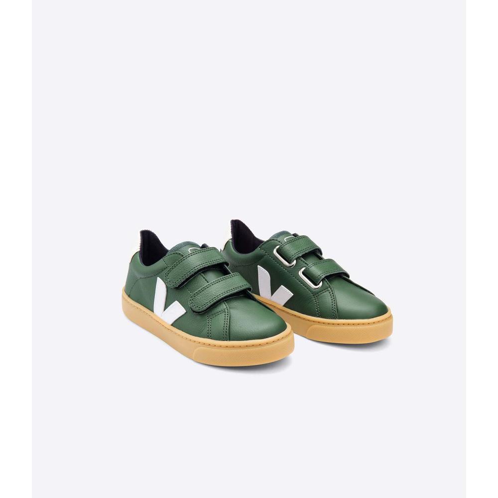 Veja ESPLAR LEATHER Tenisky Detske Olivovo Zelená | SK 828JPQ